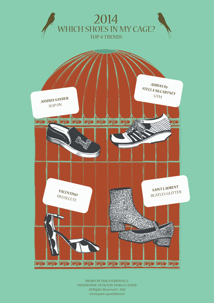 Which Shoes on my Cage | The year of the monkey